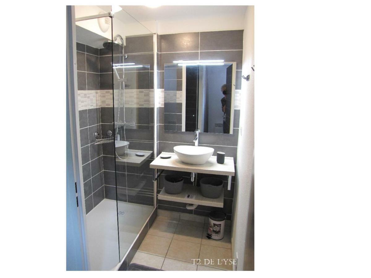 T2 De L'Yse Apartment Люс-Сен-Совер Екстериор снимка